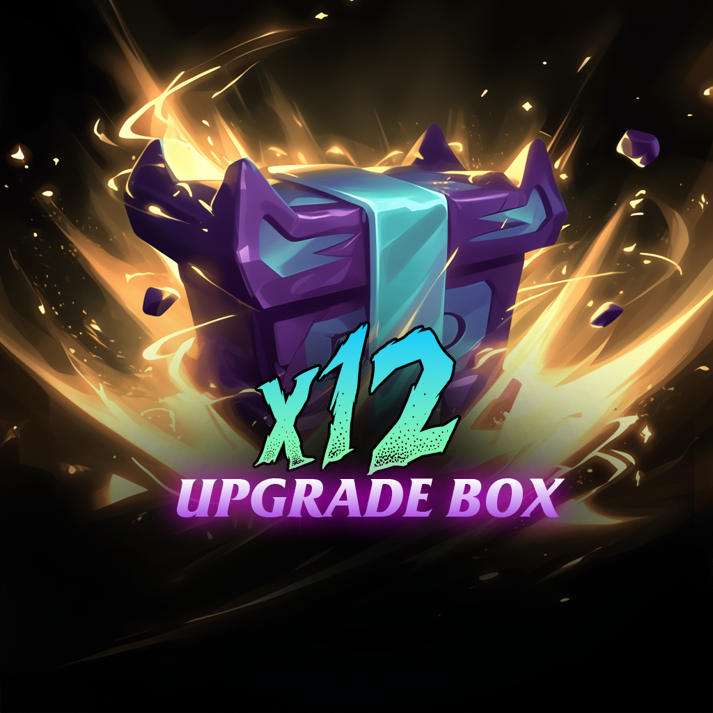 Upgrade Box x12